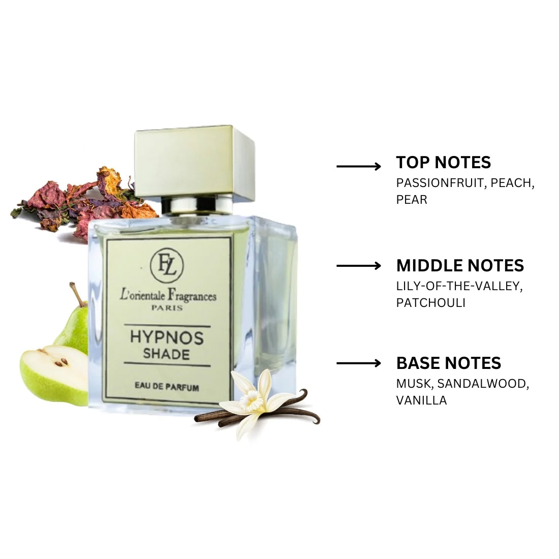L'Orientale Fragrances Hypnos Shade