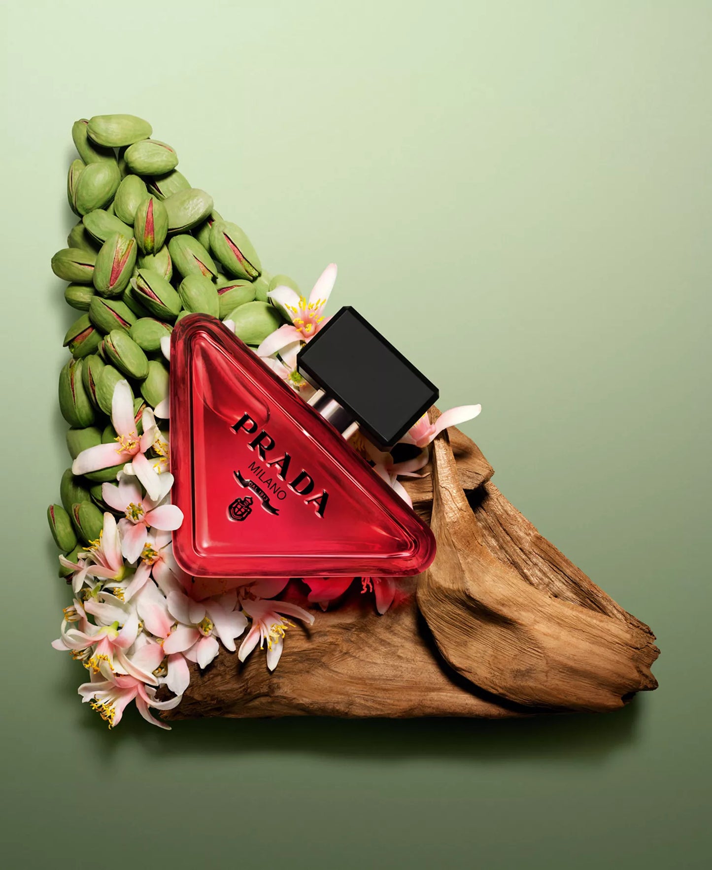 Red Prada triangle-shaped perfume bottle with green beans and flowers on a green background